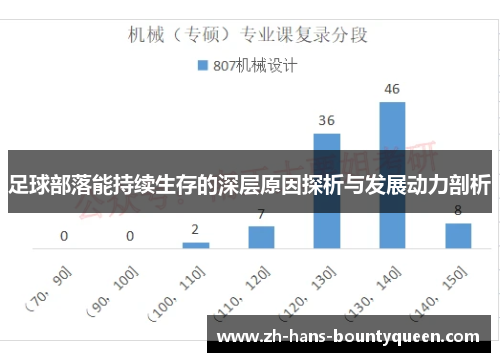 足球部落能持续生存的深层原因探析与发展动力剖析 足球部落能持续生存的深层原因探析与发展动力剖析