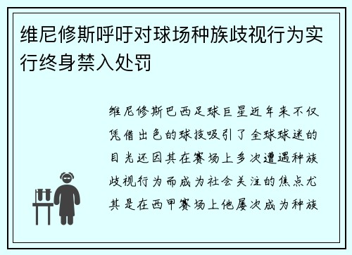 维尼修斯呼吁对球场种族歧视行为实行终身禁入处罚